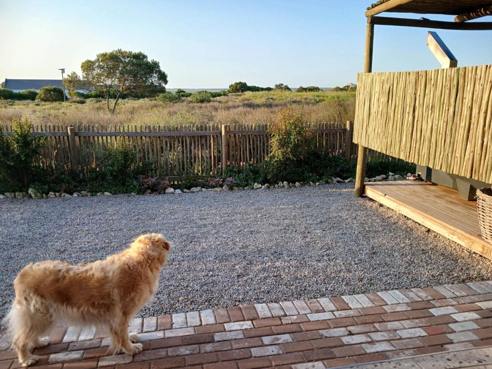 Camelot Cottages Langebaan Exterior foto